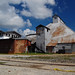 Joyce Mills Photo 11