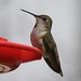Allen Frederick Photo 19
