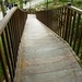Lisa Zaman Photo 7
