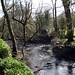 Bradley Newton Photo 12