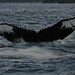 John Follett Photo 17