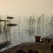 Lisa Hammock Photo 16