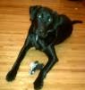 Jane Schroeder Photo 25