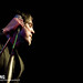 Jason Fitzpatrick Photo 10