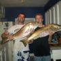 Cory Mcguire Photo 25