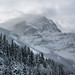 Rocky Rogers Photo 36