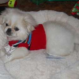 Barbara Hale Photo 9