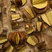 John Latham Photo 10