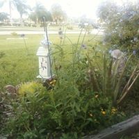 Jennifer Sauer Photo 36