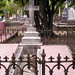 Ann Welch Photo 9