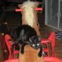 Kathy Parker Photo 42