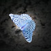 Donna Crudele Photo 7