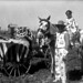 Joseph Zimmerman Photo 42