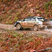 Terry Tabor Photo 10