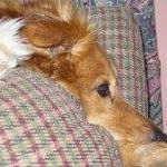 Christine Gramm Photo 2