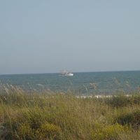 Gina Crews Photo 31