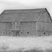 Terry Sprague Photo 17