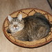 Lavern Foster Photo 4