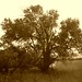 Sandy Peterson Photo 7