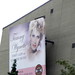Tammy Hall Photo 10