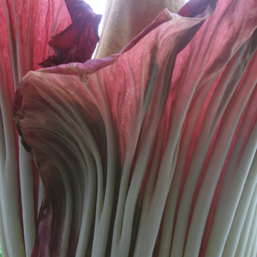 Kathie Brown Photo 13