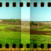 Diana Payne Photo 15