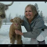 Jan Carr Photo 30