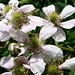 Kelly Ish Photo 3