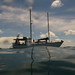 Jason Rodriguez Photo 10