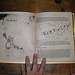 Carrie Collier Photo 22