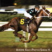 Erick Lopez Photo 11