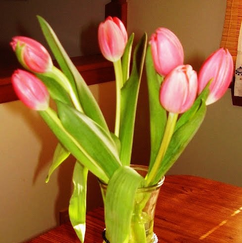Sarah Jackson Photo 14