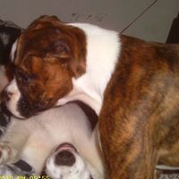 Ronnie Overton Photo 4