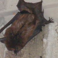 John Busby Photo 42