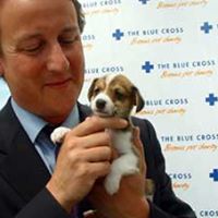 David Cameron Photo 15
