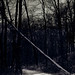 Charlotte Winters Photo 26