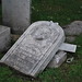 Julia Graves Photo 23