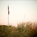 Laurie Cook Photo 17