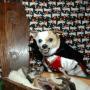 Christy Lowe Photo 43