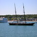 Martha Douglass Photo 6