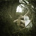 Leah Bird Photo 6