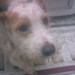 Angie Jamison Photo 7