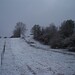 Abbie Robinson Photo 13