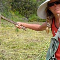 Elizabeth Rabbitt Photo 8