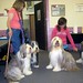 Kathie Lang Photo 7
