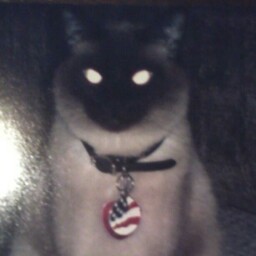 Janet Dotson Photo 3