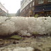 Marcia Summers Photo 7