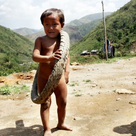 Son Hoang Photo 10