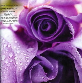 Farhana Begum Photo 28