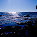 Jason Nicholl Photo 6